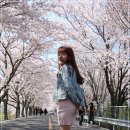 황산공원 이미지