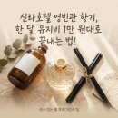 신라호텔 디퓨저 30대 거실 30평대 분위기 반전 영빈관 디퓨저 소모 속도 단점 배우 채정안 가성비...
