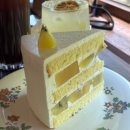 캐롯(CARROT) | 🍰🚗 과천 케이크 맛집 '화이트캐롯' 주차 꿀팁 &amp; 오픈런 필수 후기! (진짜 순삭돼요!)