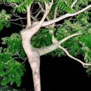 세일주유소 화장실 이미지