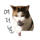 홍부생고기 이미지