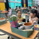 화순초 이서분교 이미지