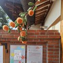 노스텔지어 | 2025. 10. 29. 수. 행복작당 춘화추월: 노스텔지어 더블재 X 윤현상재 후기