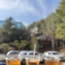 테라스의 아침 이미지