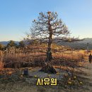 (주)동명종합건축 | 군위 가볼만한곳 사유원, 자연과 건축이 만나는 대구 근교 힐링 여행지