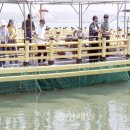 천수만해상낚시공원 이미지