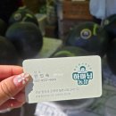 2026.05.09 경남 함안 청보리작약축제 후기 '강나루생태공원'