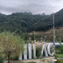 퐁이네 애견 | 청주 대형 카페 추천_🌾 애견 동반 가능한 수제 베이커리 카 페페 일일일락 추정리 메밀밭 근처 111LAC 후기