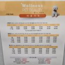 웰니스펫뷰티 이미지