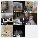 w39. 대구 본식영상 본식dvd 아온필름 후기(내돈내산 찐추천!)