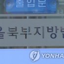 자연히 이미지