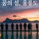 울릉행복투어
