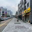 벧엘애견 네이버블로그