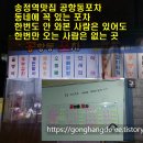 공항동포차 이미지