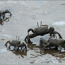 서포시장 이미지