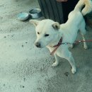 신안갈전마을 이미지