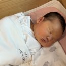 이에이치파트너스 | (내돈내산) 태열에서 아토피 의심까지.. 로션 수십개 써본 아기가 결국 정착한 아기 로션 정착템 후기