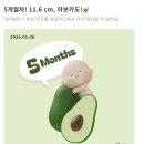 경주시 보건소 화장실 | 임신 기록 :: 13주차 ~ 16주차 증상ㅣ영양제 공유(닥터에디션 vs 닥터프로그램)ㅣ 2차기형아검사