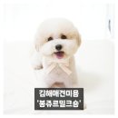 봉쥬르 밀크숑 이미지