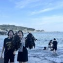 숲속의바다펜션 네이버블로그