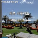 인생낙원 | 명불허전 최고의 제주 중문카페 더클리프