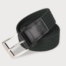 페르시안 캣 이미지