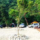 지리산반내골오토캠핑장 Daum카페
