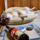 착한감자탕해장국 이미지