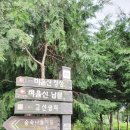 사파동374 | 경남 창원 사파동 오리 맛집 창원 사파동 백숙 맛집 고산농장