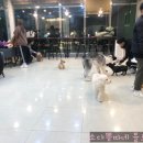 라운지독 이미지