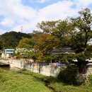 박사골한우 이미지