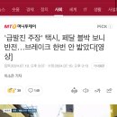 ‘급발진 주장’ 택시, 페달 블박 보니 반전… 브레이크 한 번 안 밟았다 이미지