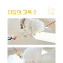 털로덮인친구들(동탄호수공원점) 이미지