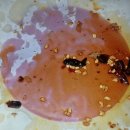 그린맘치킨 이미지