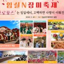 오월N장미