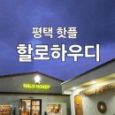 하우디 | 풀빌라 휴양지 스타일의 평택맛집!!! 할로하우디 레스토랑 솔직 후기