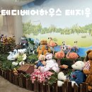 테지움사파리 | 제주 아이와 실내여행지 테디베어하우스 테지움