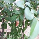 진정세탁소 이미지