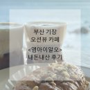 알오 | 부산 기장 오션뷰 카페 <엠아이알오> 내돈내산 방문후기