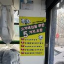 캘러웨이 레바 라이즈 여성 드라이버 보상 교환 구매 후기 도곡 골프샵