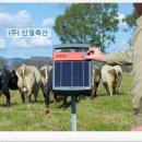 애자축산 이미지