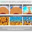 연세참의원 Daum카페