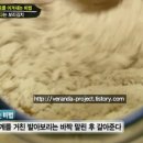 이규길 티스토리