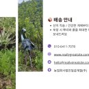 채진농장 네이버블로그