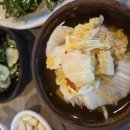 낙동생오리 이미지