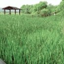 강마을공원 이미지