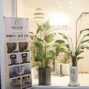 차올라카페 이미지