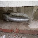 노암약국 이미지