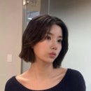 라경헤어 | 문정동미용실/ 권은비 머리 태슬컷 후기 / 아스트룸헤어 단발 태슬컷 라경원장