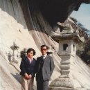 형제농장1 이미지